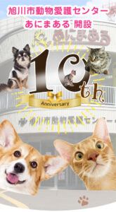 旭川市動物愛護センター あにまある 開設10周年