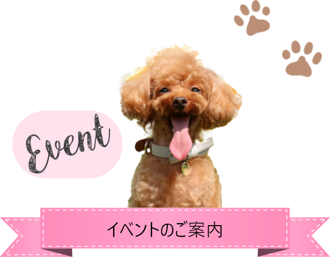 イベントのご案内