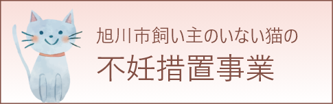 旭川市 飼い主のいない猫の不妊措置事業