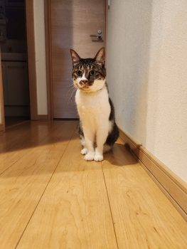 回答番号158写真(まめ) 回答番号158写真(まめ)