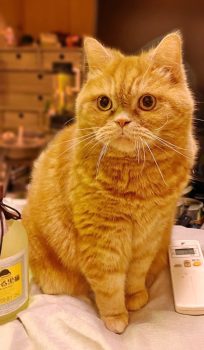 回答番号112写真(まる) 回答番号112写真(まる)