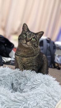 回答番号104写真(ふみ) 回答番号104写真(ふみ)